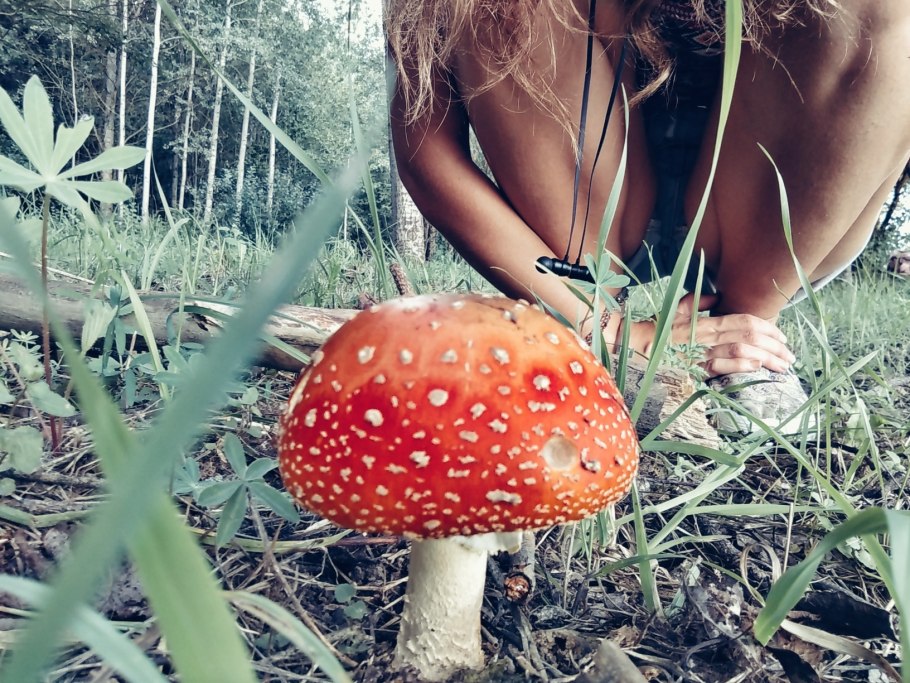 Крапива Юлия