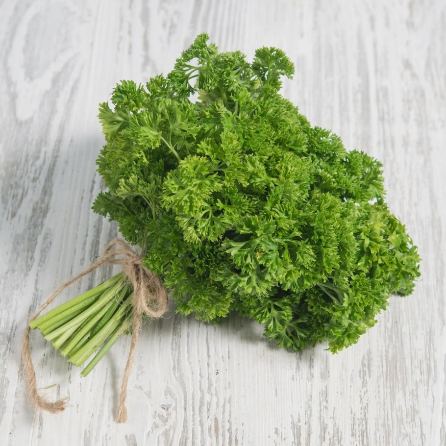 Петрушка Кучерявец