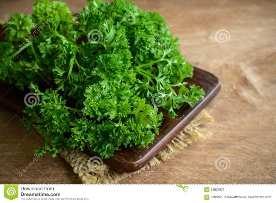 Кинза кудрявая