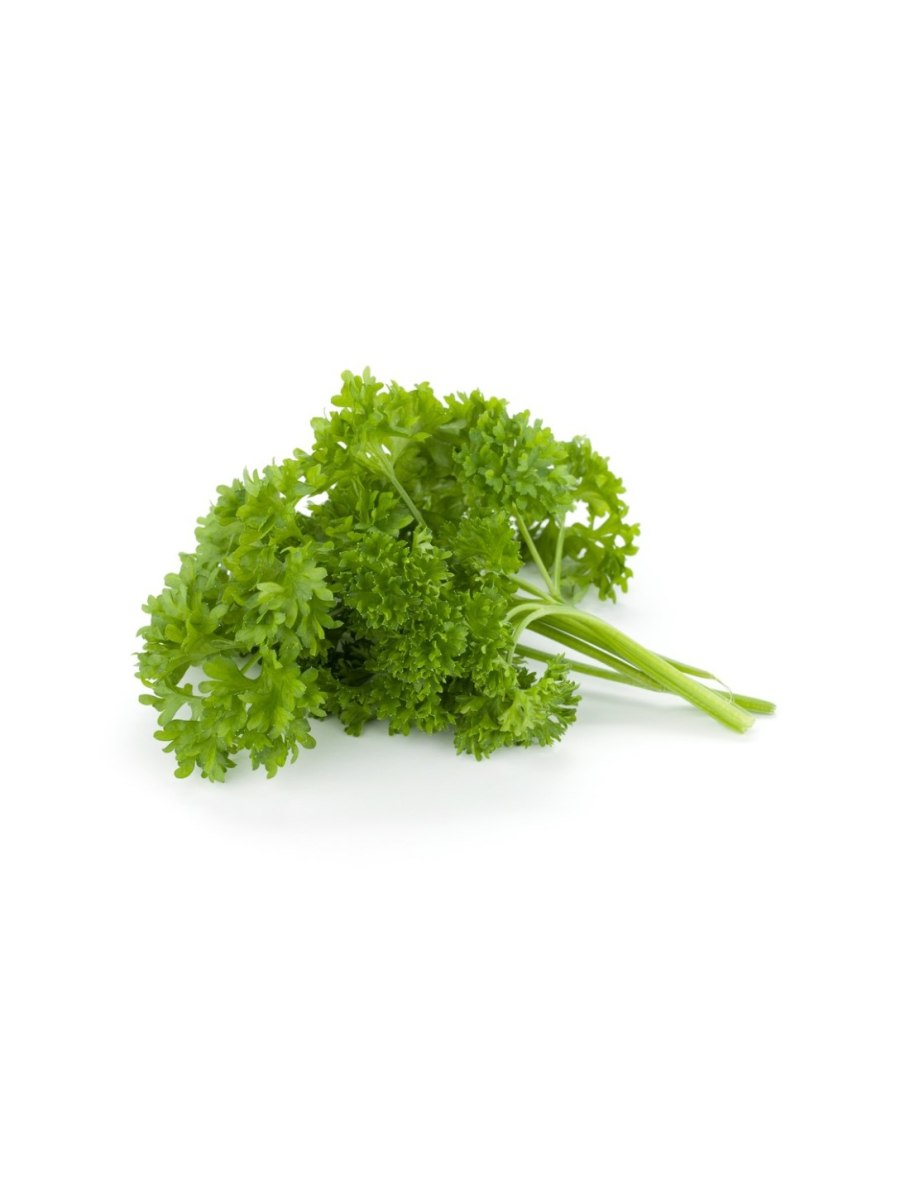 Петрушка Бордовикская