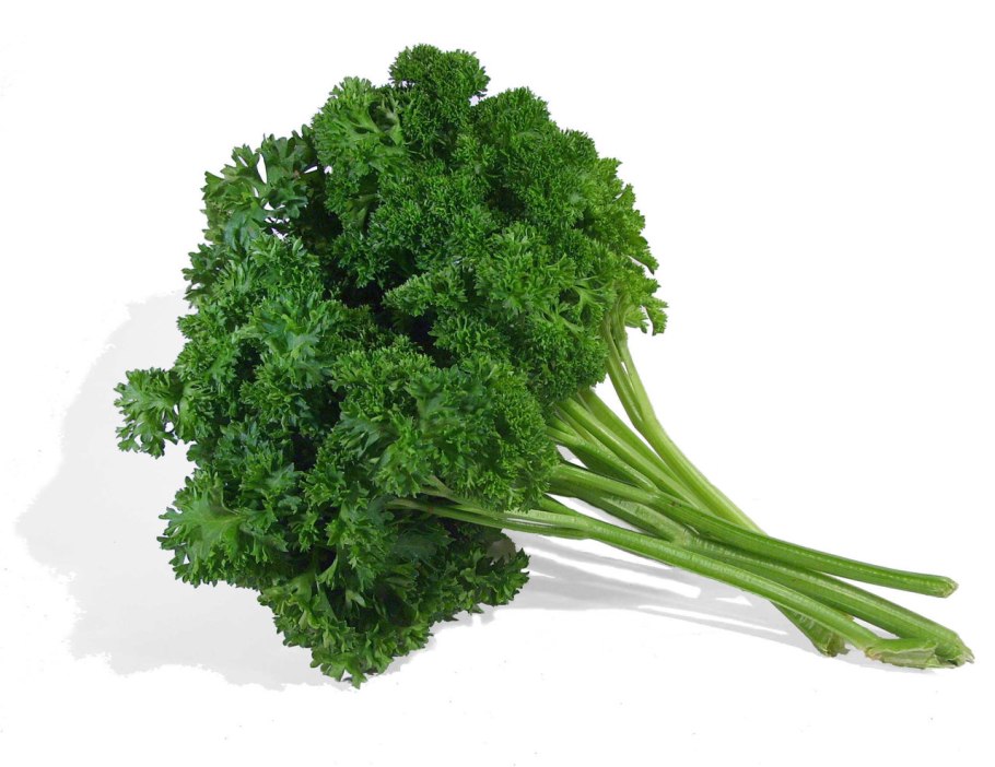 Петрушка кудрявая Кучерявец