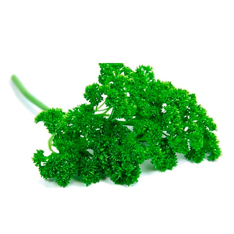 Петрушка усимлиги