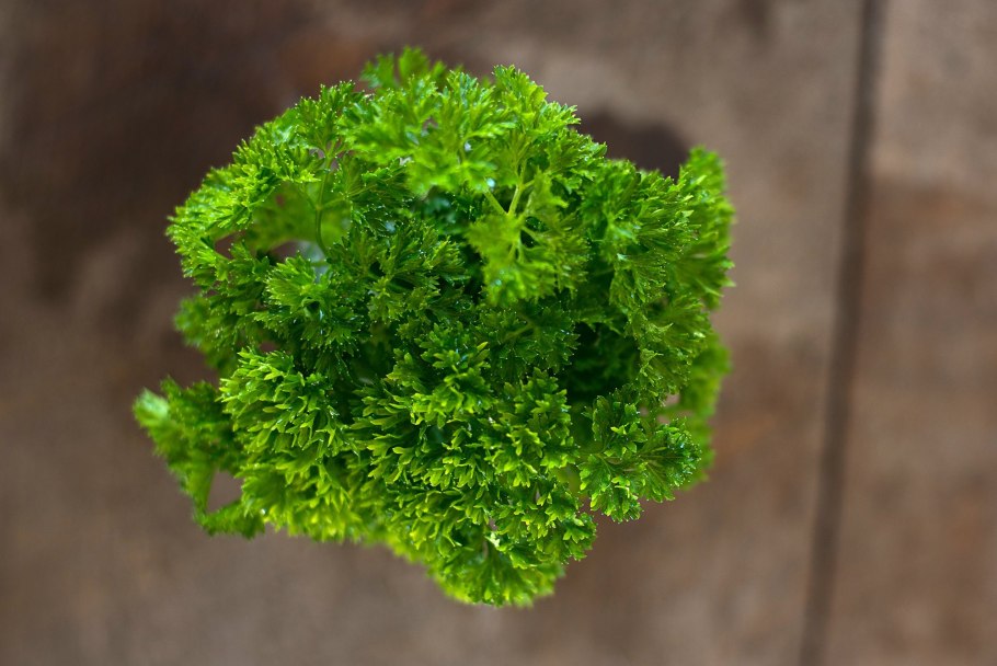 Петрушка Быстроотрастающая листовая 1г (Уральский Дачник)