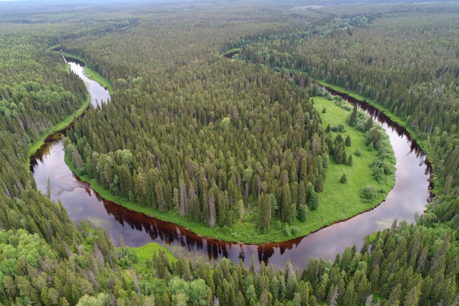 Девственные буковые леса Карпат