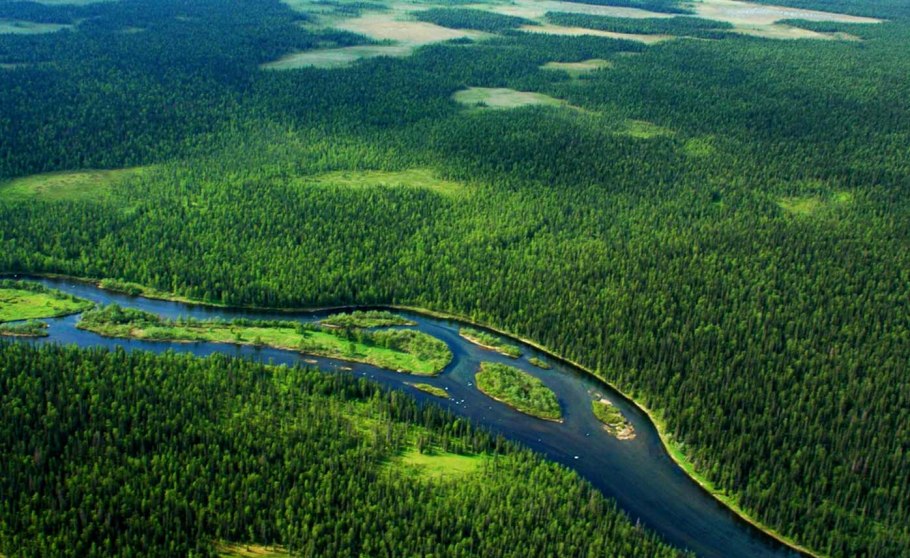 Тепуи Сарисариньяма воронка