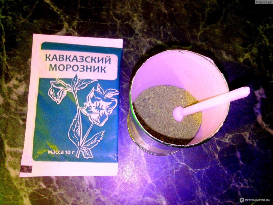 Морозник кавказский для похудения