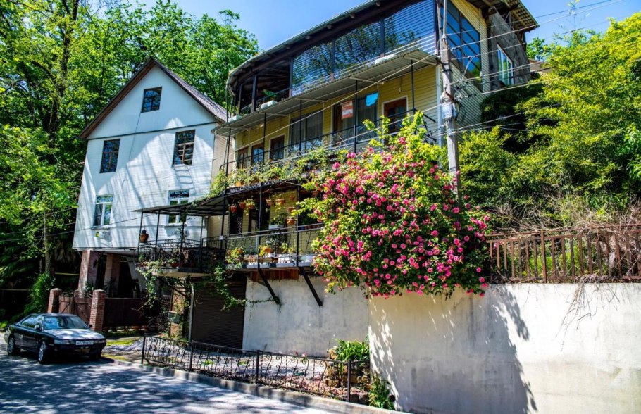 Иберис вечнозеленый "Сноуфлэйк"