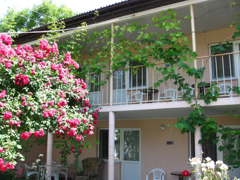 Иберис вечнозеленый / Iberis sempervirens "Whiteout"