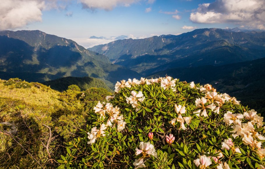 Северная Осетия горы Альпийские Луга