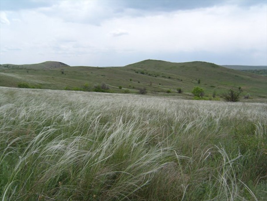 Калмыцкая степь Элиста