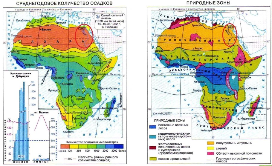 Кувшинка Виктория-Регия