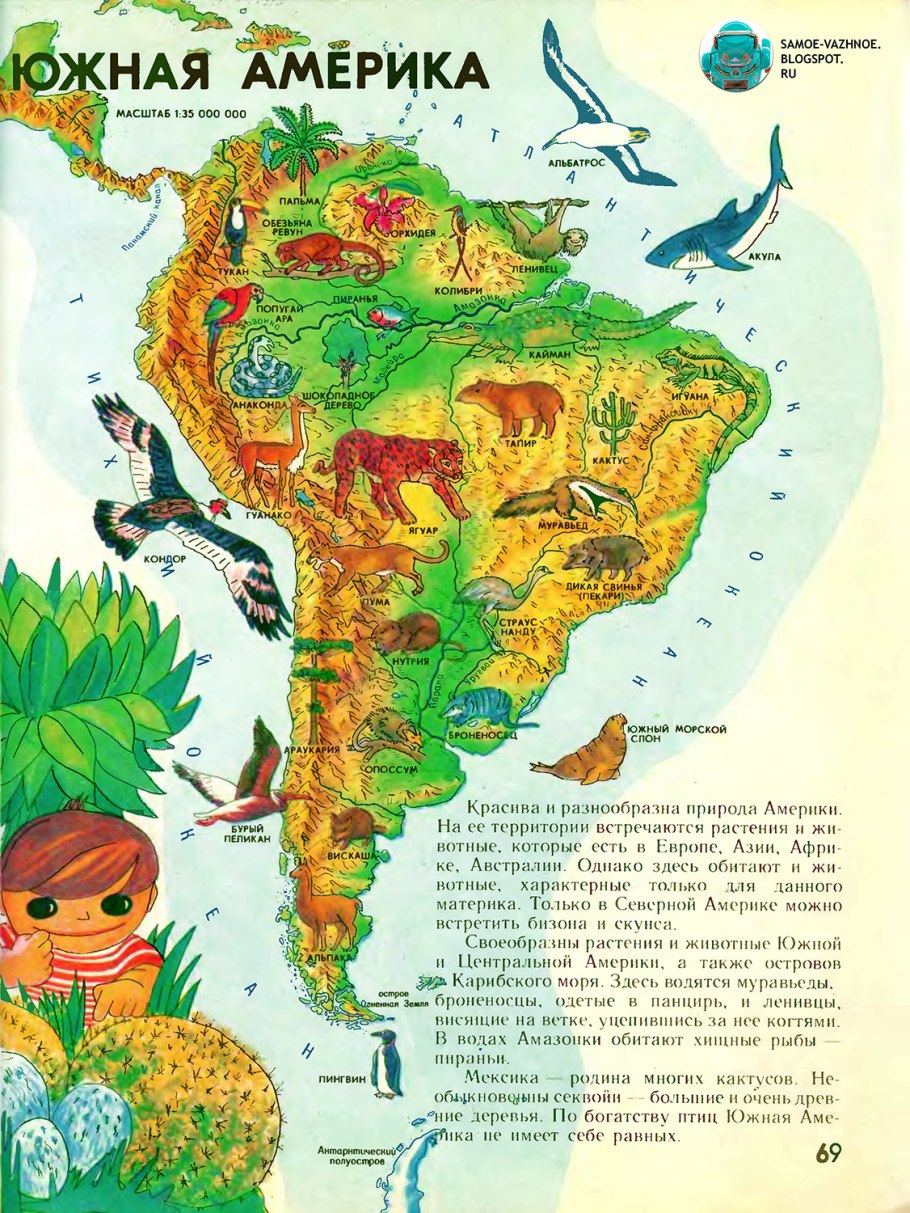 Кувшинка Виктория Амазонская