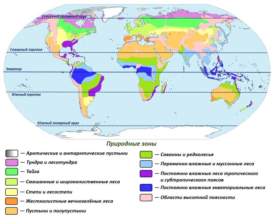 Флора Парагвая