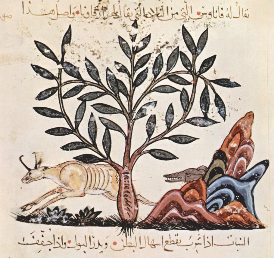 Materia Medica Диоскорида