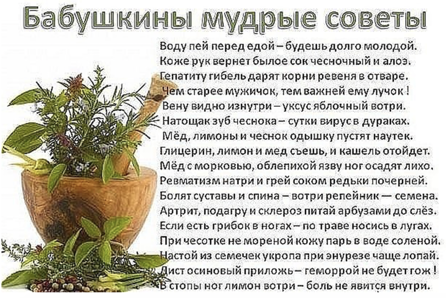 Фитотерапия китайская традиционная медицина
