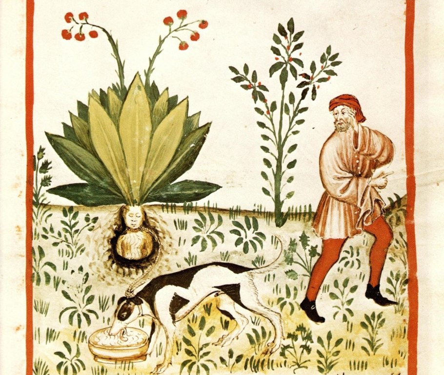 Трактат Tacuinum Sanitatis