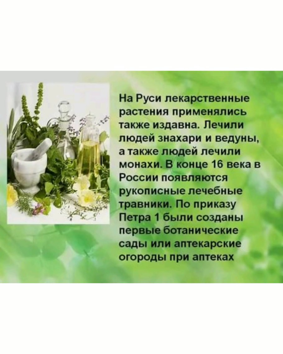Лекарственные растения