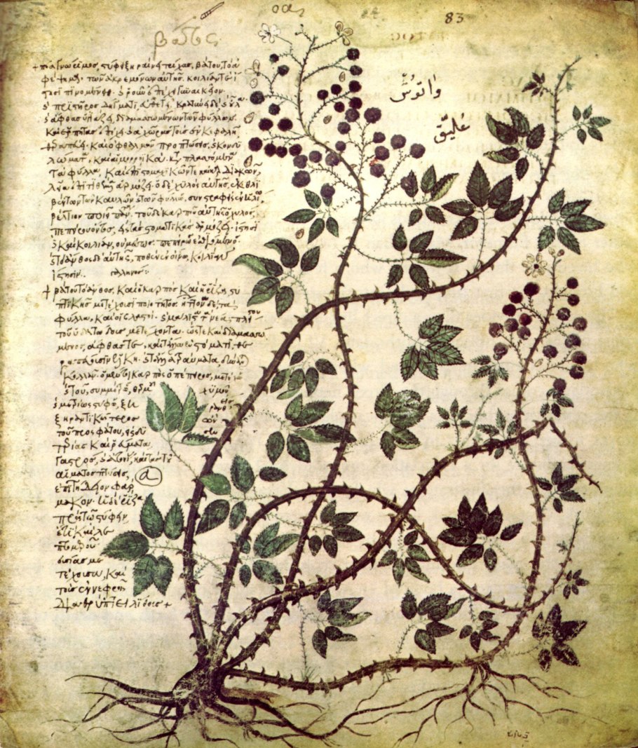 Tacuinum Sanitatis