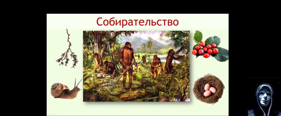 Фикус Баньян