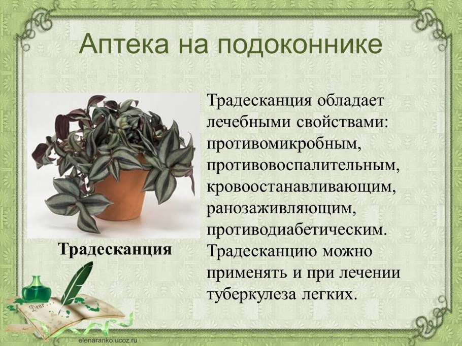 Пивоварение в древности