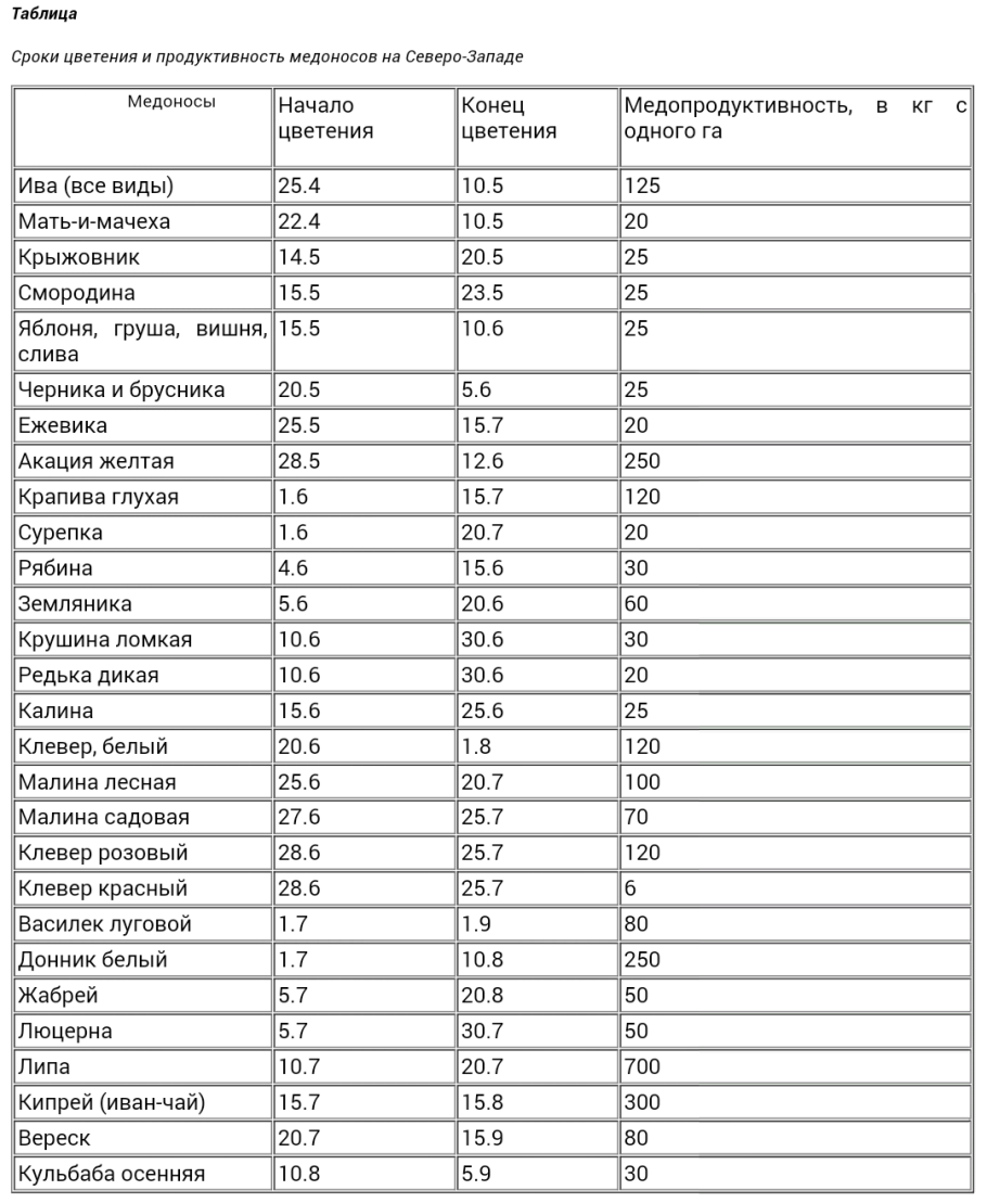 Рапс растение медонос