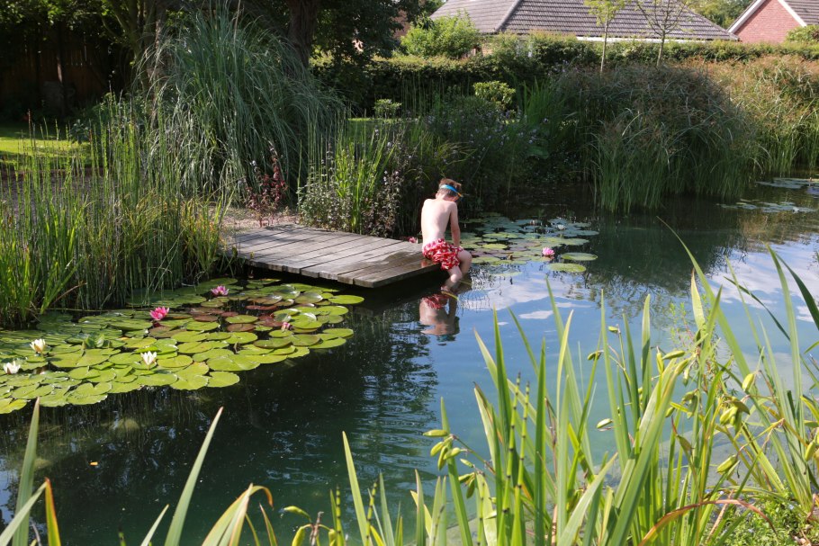Цветение воды цианобактерии