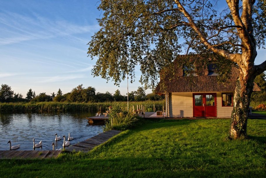 Озеленение берега пруда