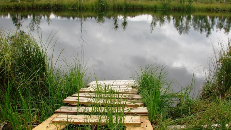 Пейзажный стиль пруд зона отдыха