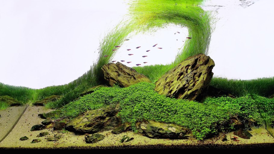 Озеро Малое рыбоводное Тольятти