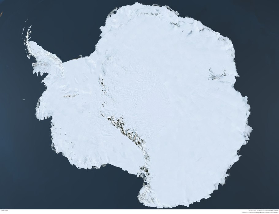 Накипные лишайники Арктики