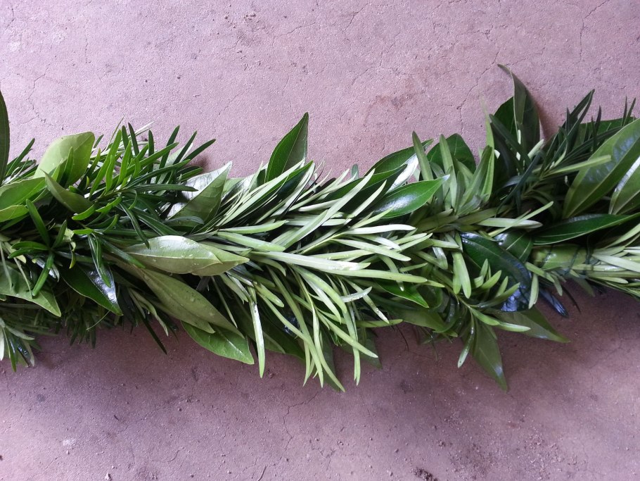 Ruscus aculeatus ареал