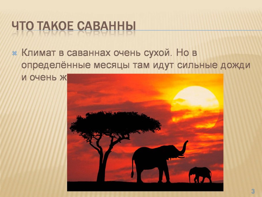 Тропическая Сельва