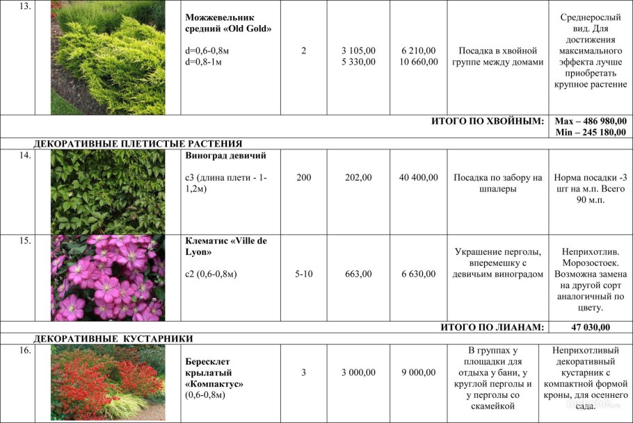 Герань Луговая сорта с фото и названиями