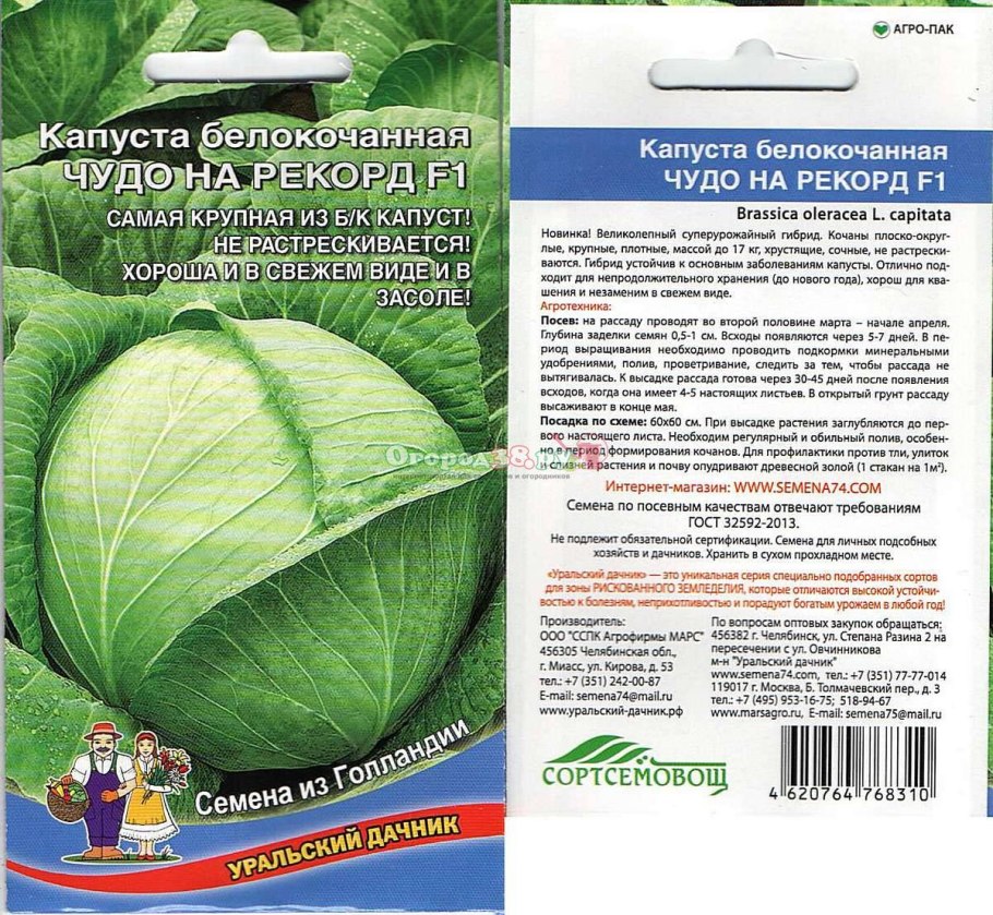 Схема подкормок капусты белокочанной