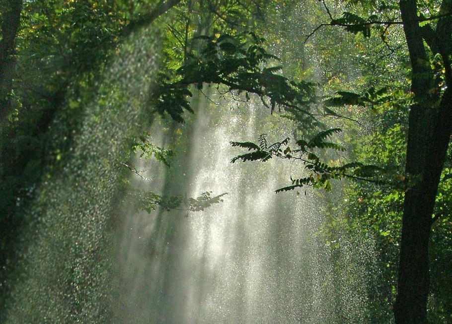 Высокая влажность природа