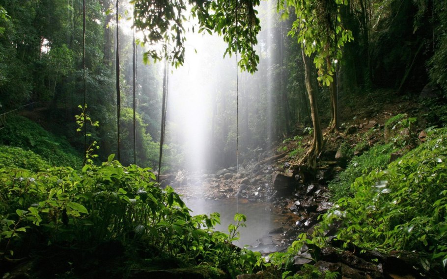 Водяной пар в атмосфере
