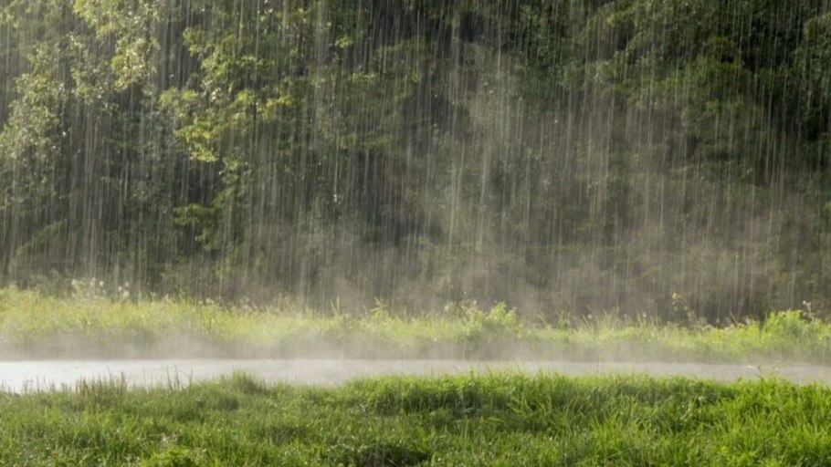 Наветренные склоны гор