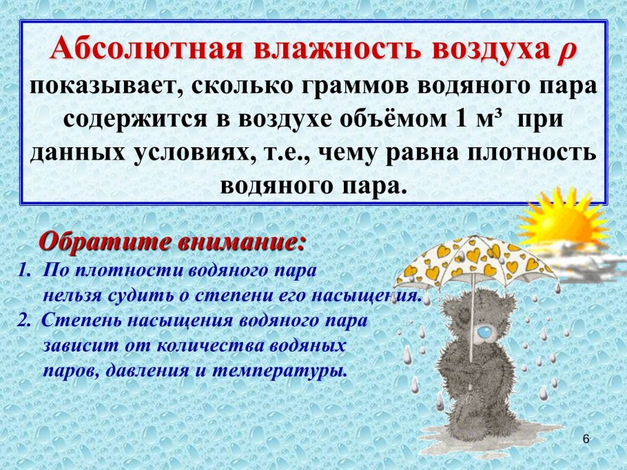 Влажные тропические леса Южной Америки