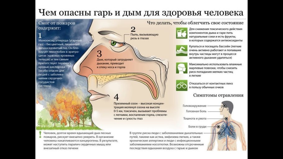 Дождливый луг