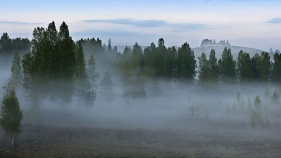 Надвигающийся туман