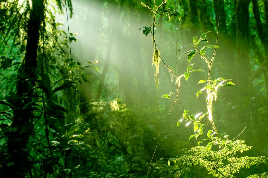 Дождь осенью