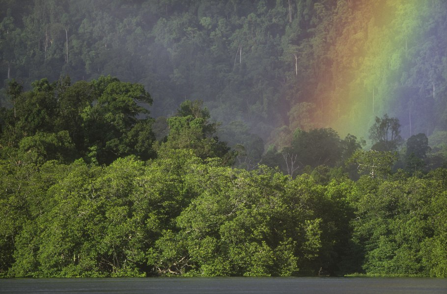 Влияние лесных пожаров на здоровье человека