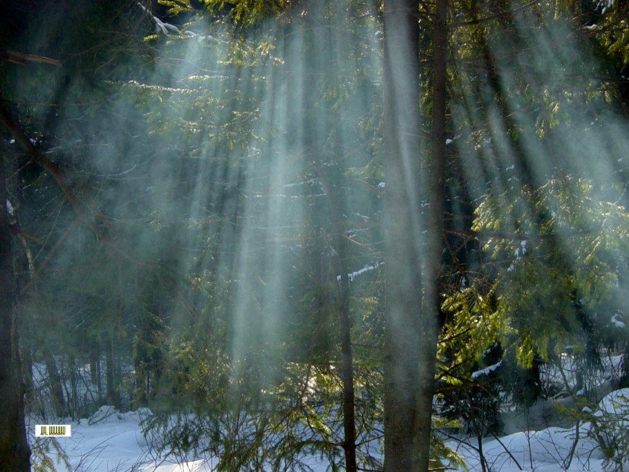 Пожары в Амазонии 2019