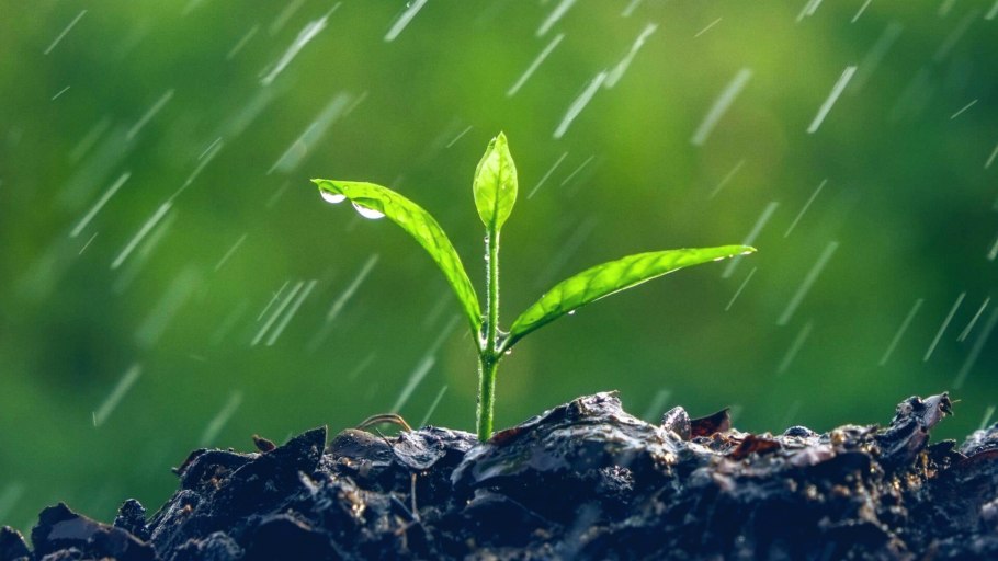 Водяной пар