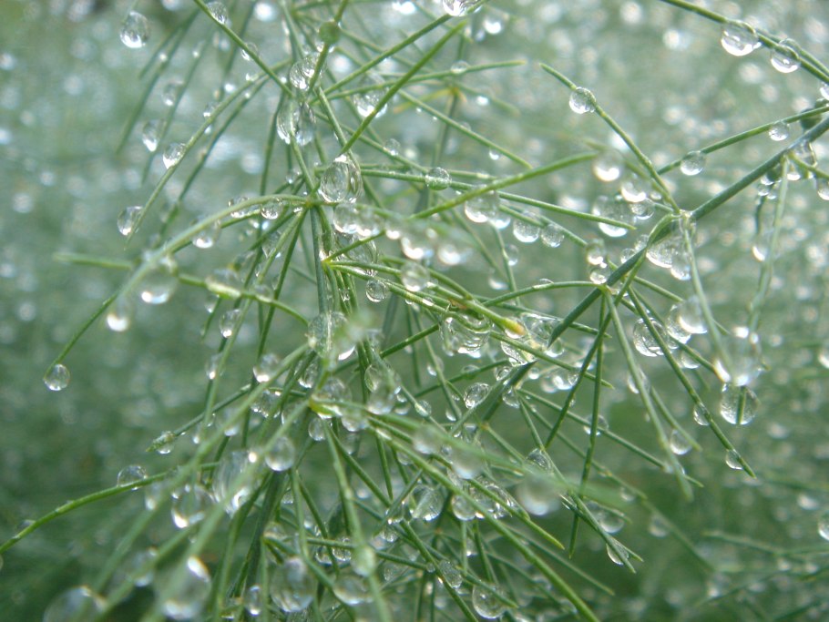 Влага в воздухе