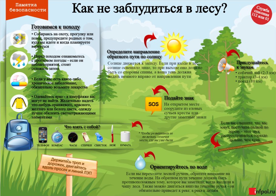 Капли дождя на паутине