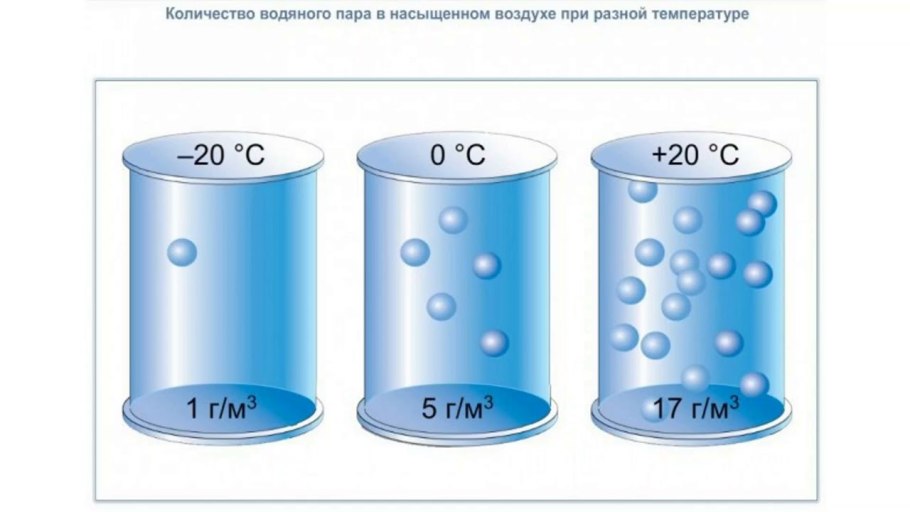 Лес и влага