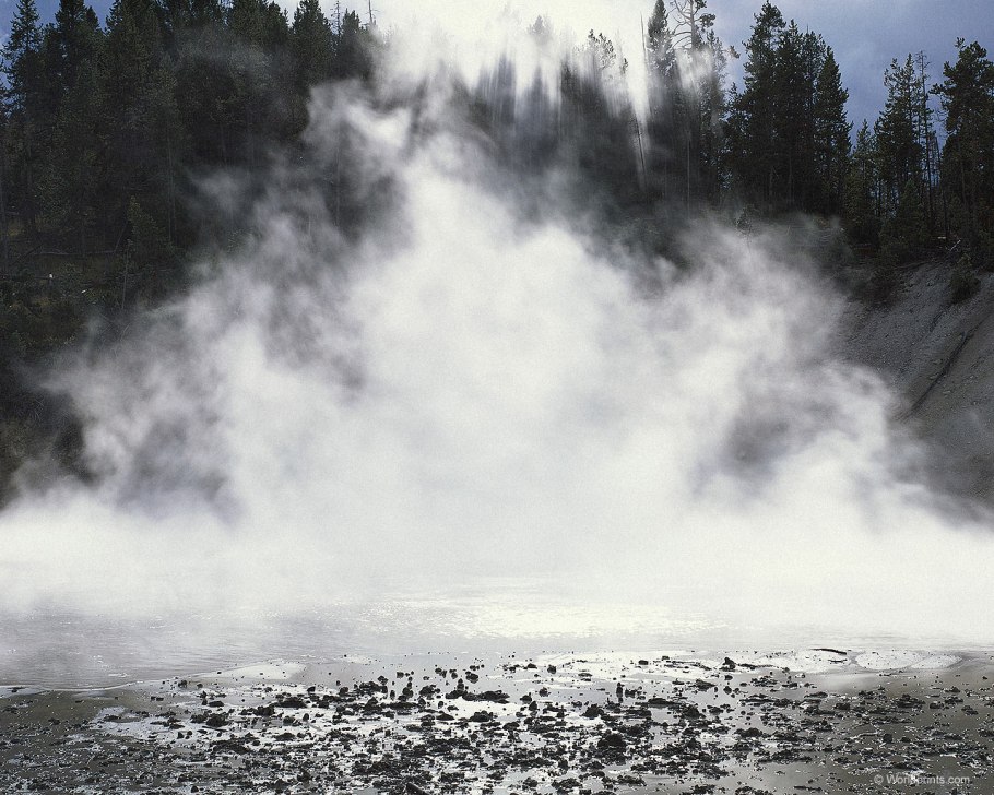 Доброе утро роса