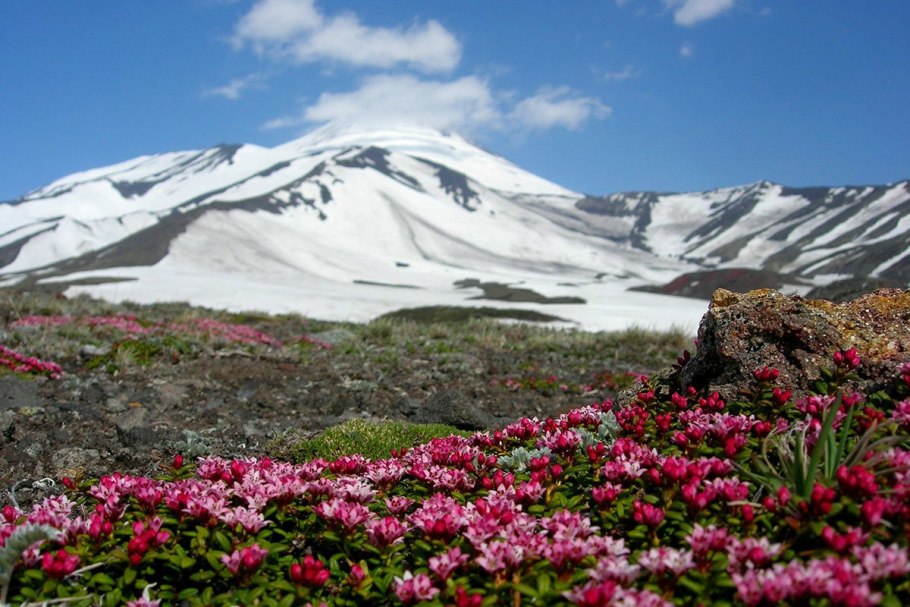 Камчатский край Корякский заповедник