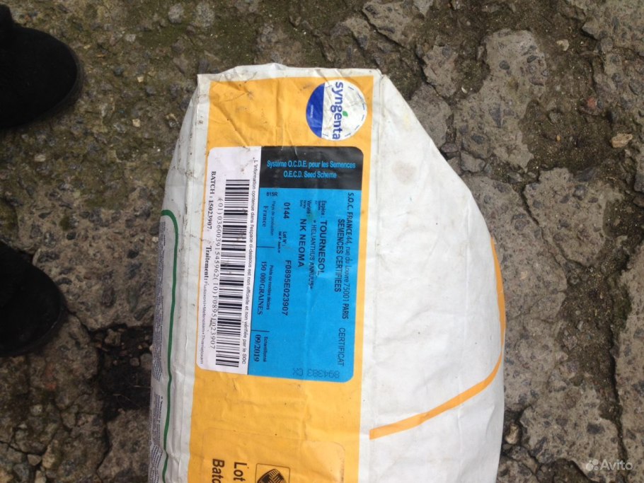 Семена подсолнечника Фортими